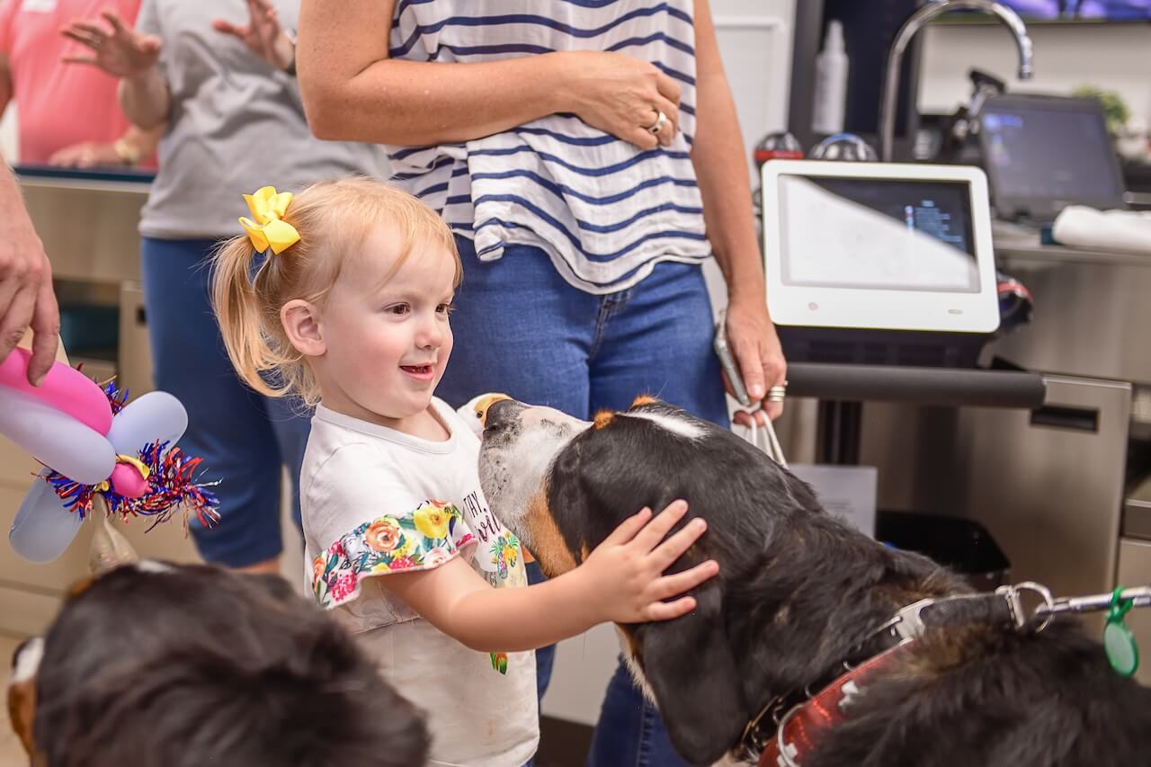 Prosper North Animal Medical Center - Prosper, TX 42