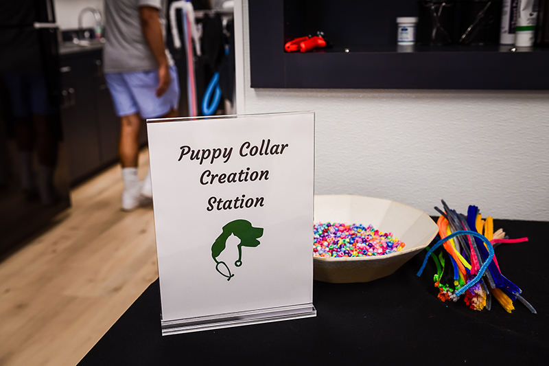 Puppy collar creation station