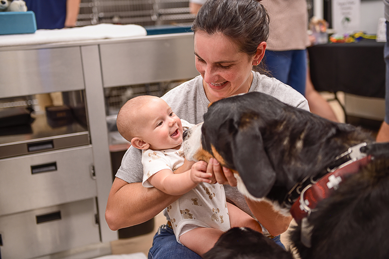 Baby with dog