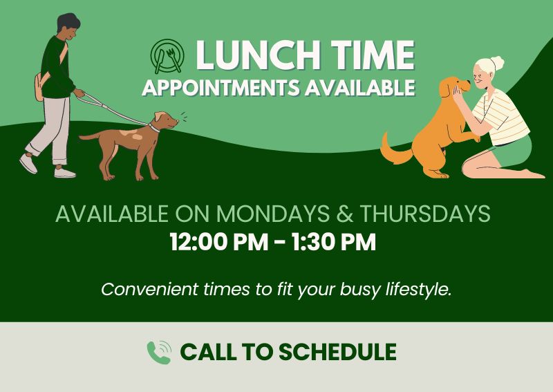 Carousel Slide 5: Convenient Mid-Day Appointments