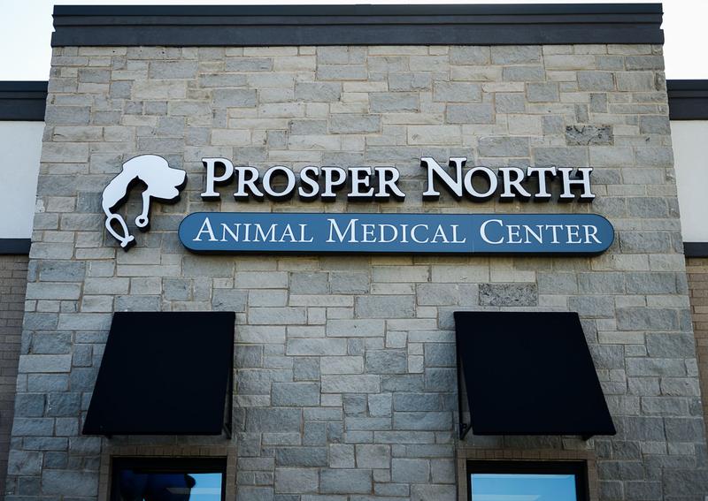 Carousel Slide 1: Prosper North Animal Medical Center